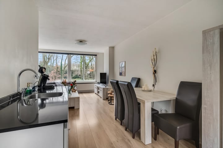 Foto 6 van Plesmanstraat 323