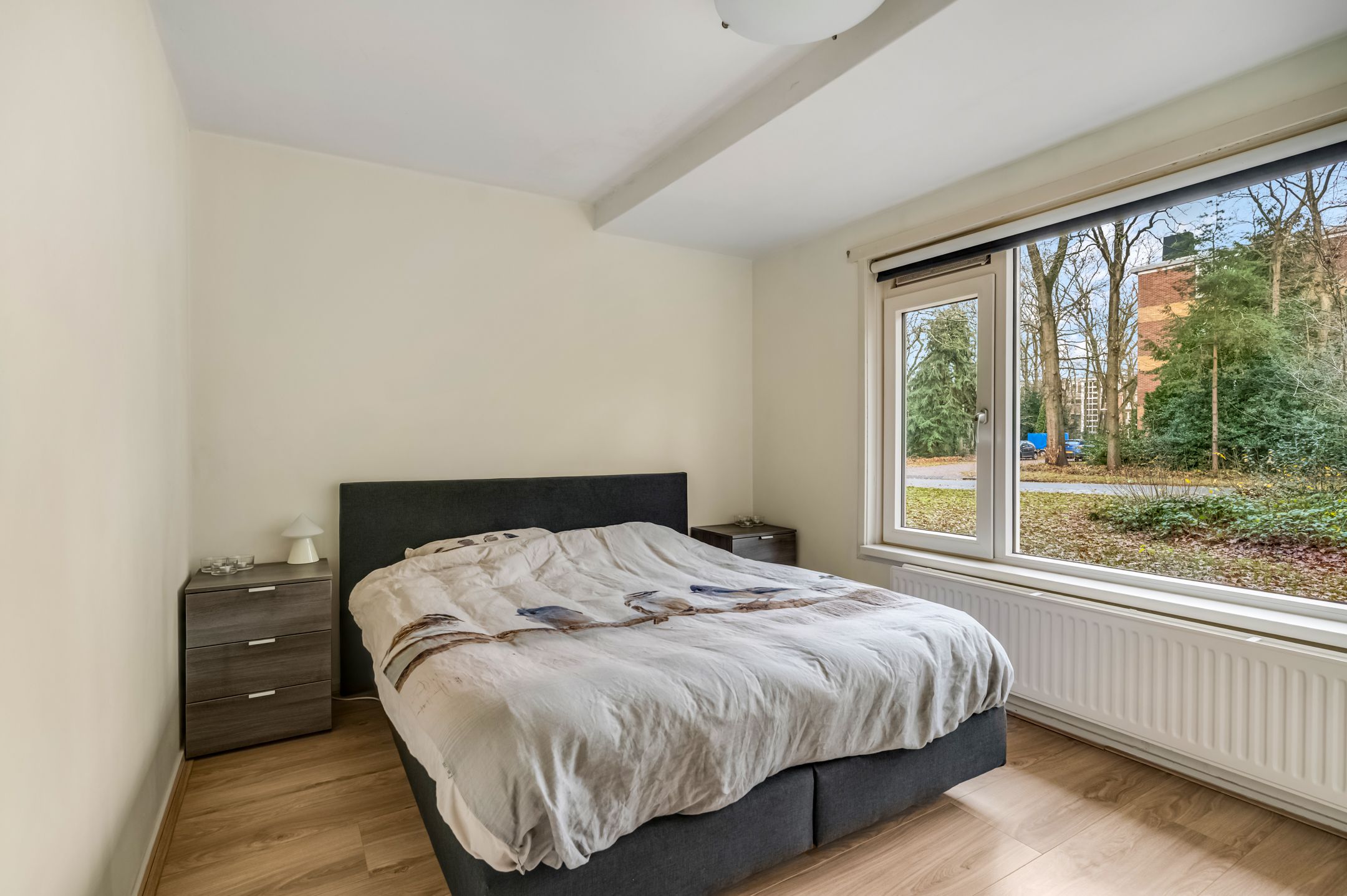 Foto 18 van Plesmanstraat 323