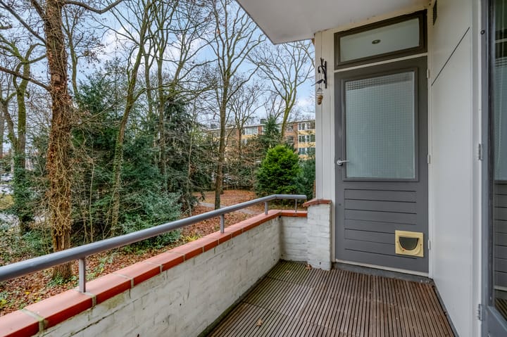 Foto 27 van Plesmanstraat 323