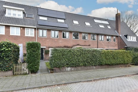 undefined main image