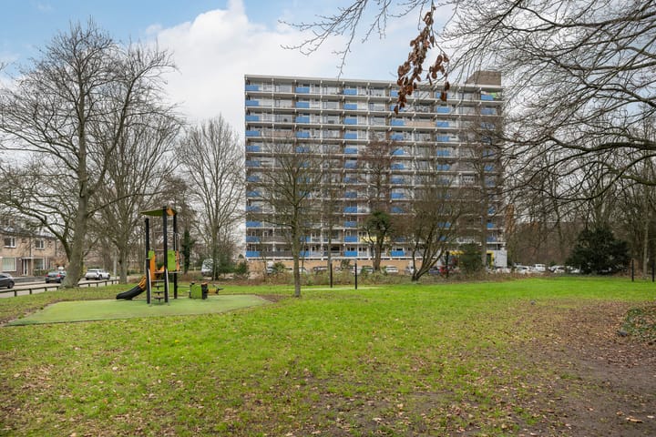 Photo 40 of Albertine Agneslaan 358