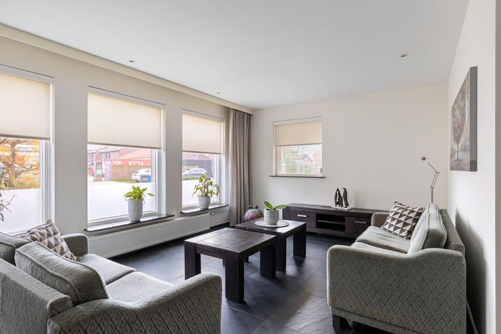 Foto 2 van de Kastanje 5