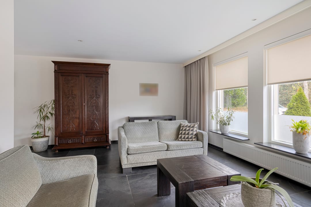 Foto 8 van de Kastanje 5