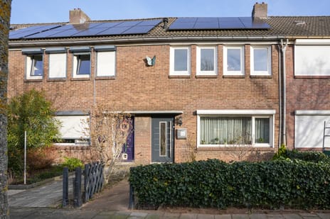 undefined main image