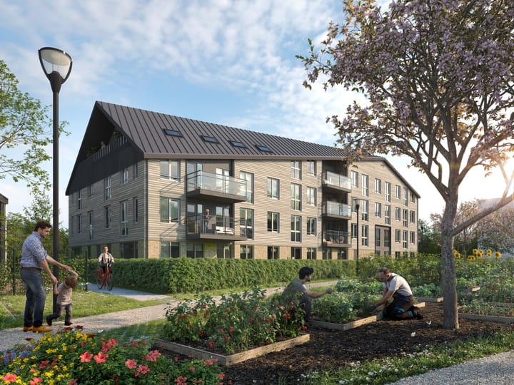 Foto 2 van Moestuin 36