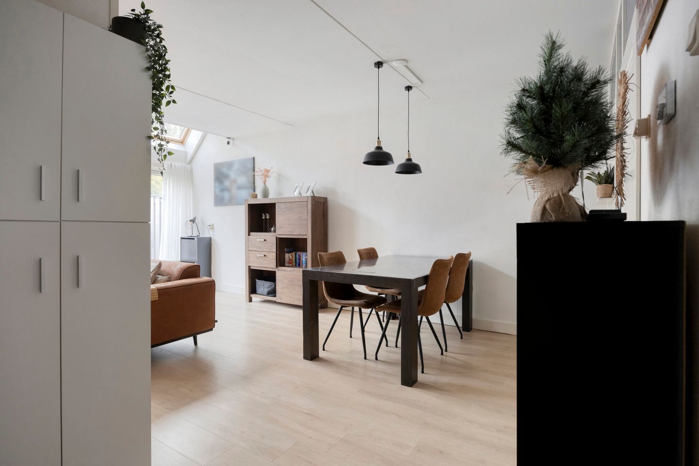 Photo 19 of Pollux 94