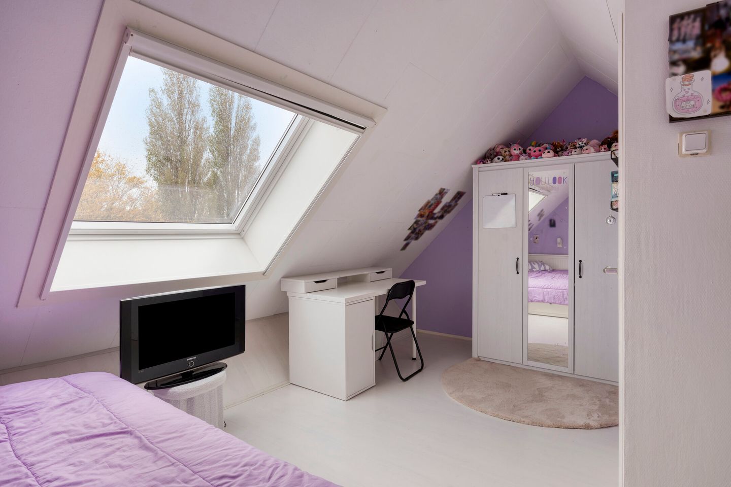 Photo 35 of Pollux 94