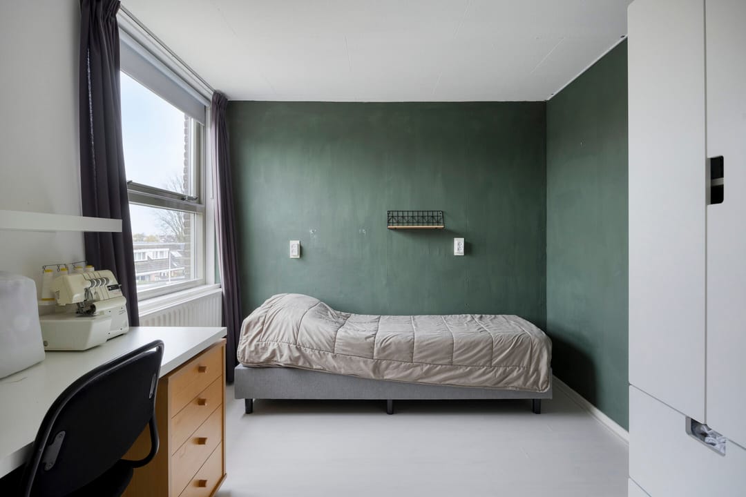 Photo 37 of Pollux 94