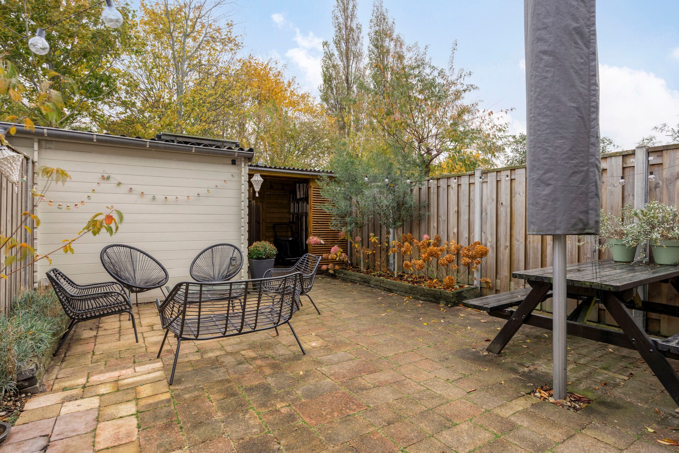 Photo 39 of Pollux 94