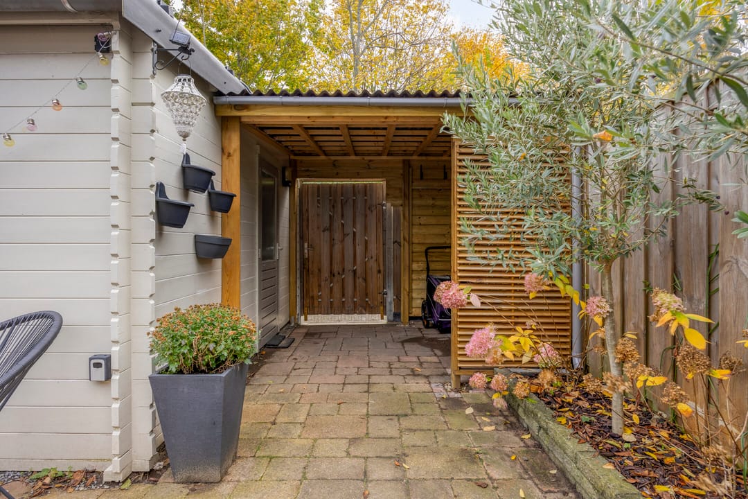 Photo 43 of Pollux 94