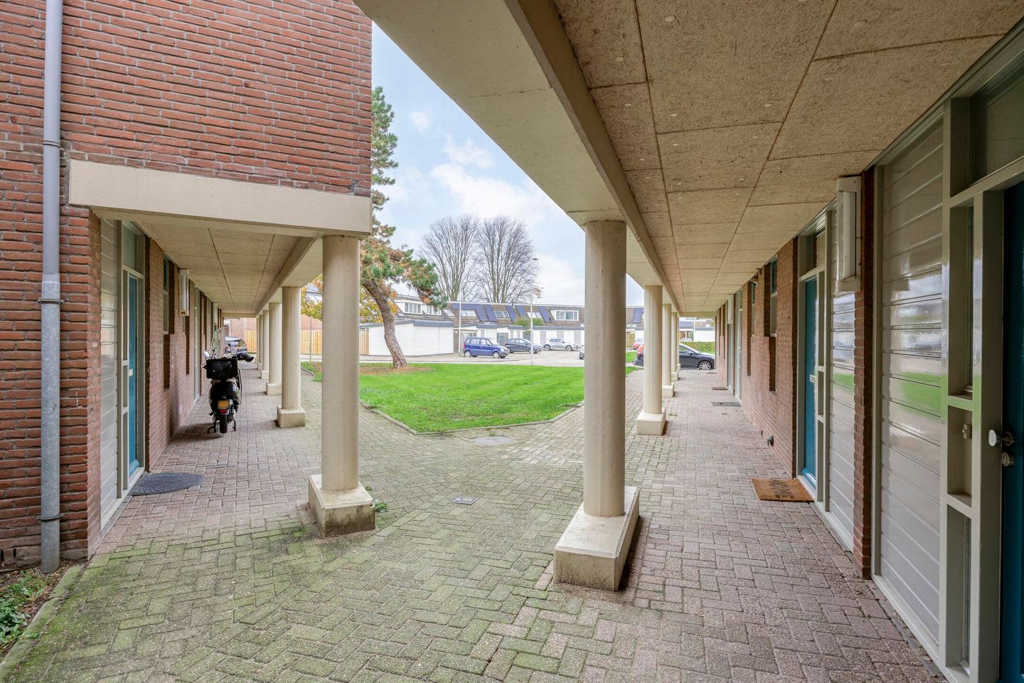 Photo 50 of Pollux 94