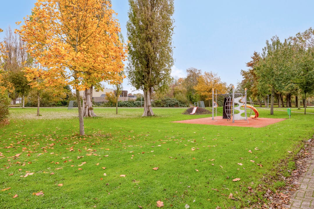 Photo 53 of Pollux 94