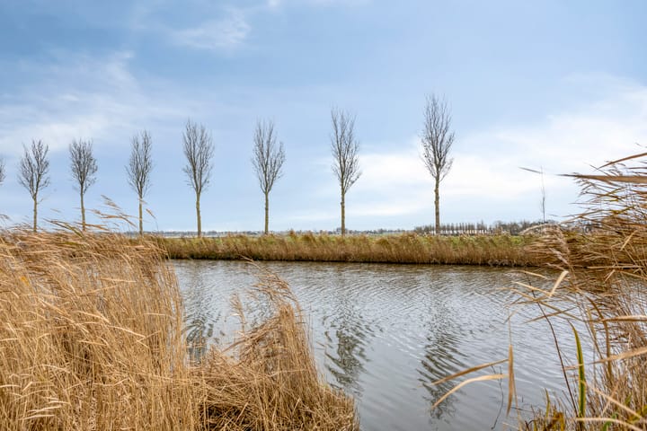 Foto 40 van Oosterweidestraat 140