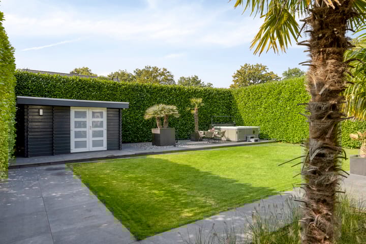 Photo 3 of De Spijkert 6