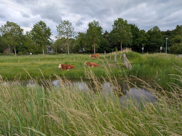 Foto 4 van Mooiland 12