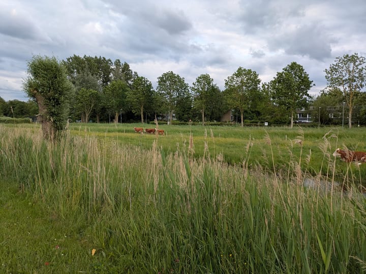 Foto 60 van Mooiland 12