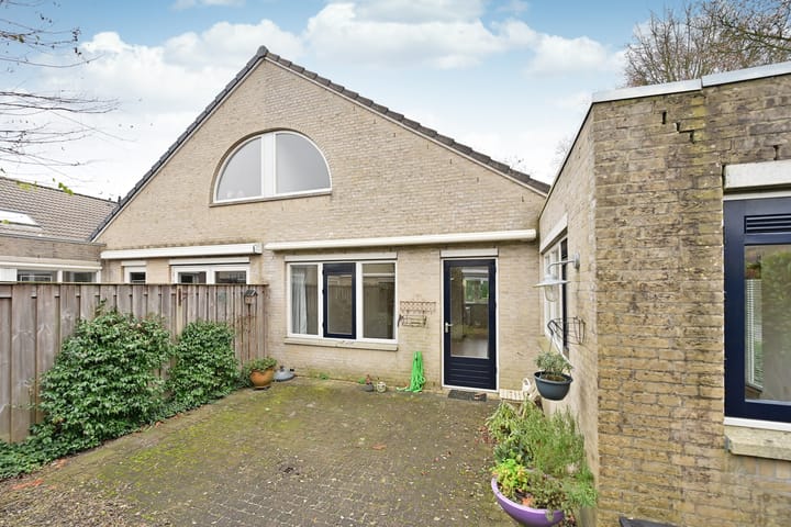 Foto 13 van Schout 24