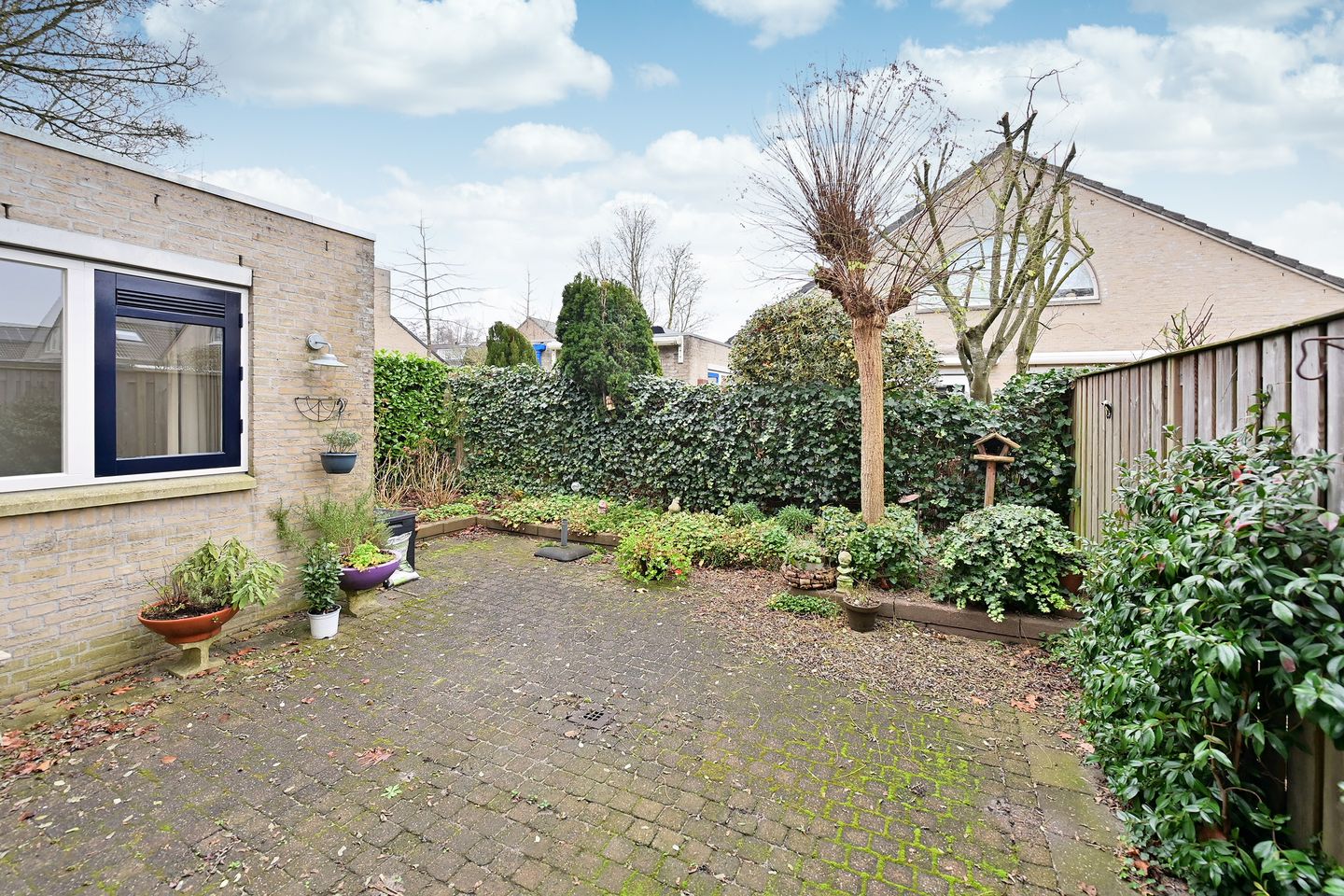 Photo 14 of Schout 24