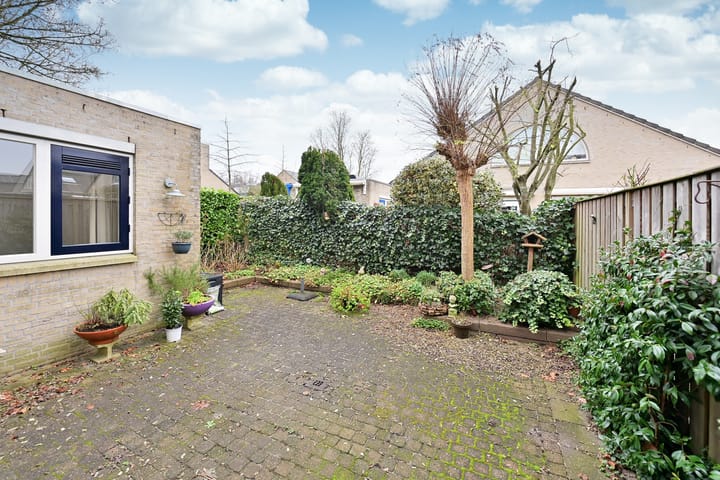 Foto 14 van Schout 24