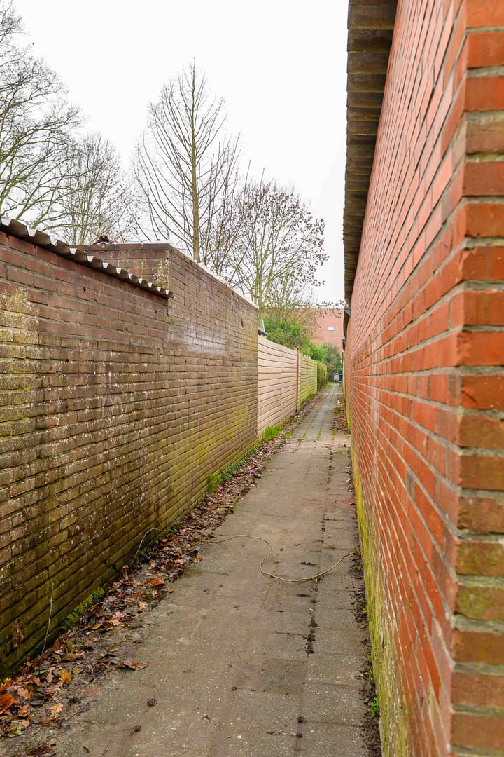 Foto 14 van de Vogezen 24