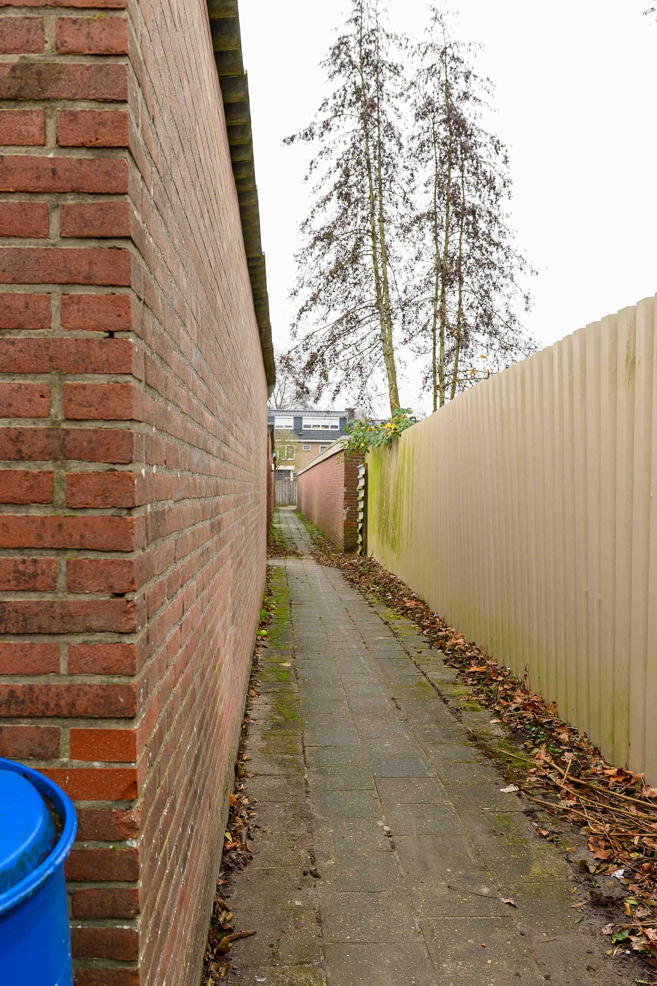 Foto 15 van de Vogezen 24