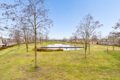 Poseidonsingel 55-r tertiary image