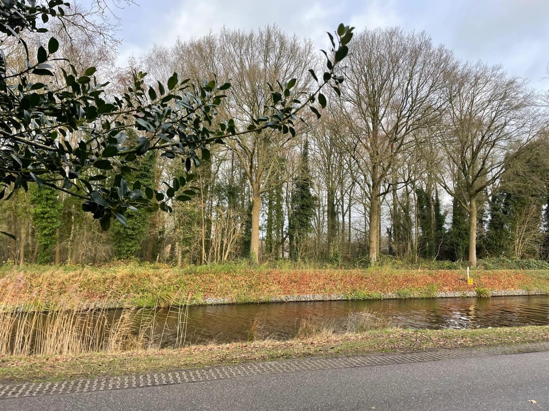 Photo 22 of Tjalling Harkeswei 106