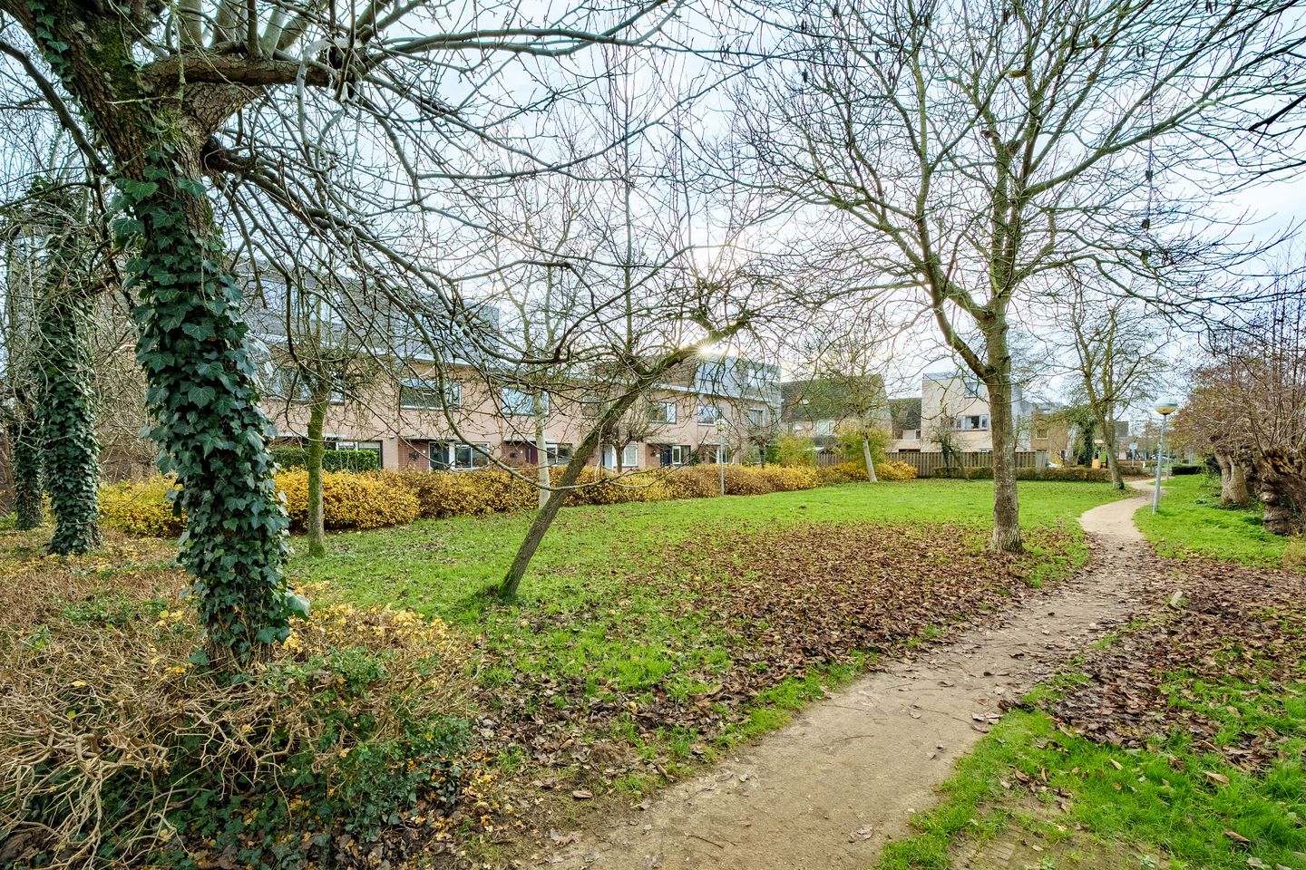 Foto 25 van Willem Elsschotstraat 15