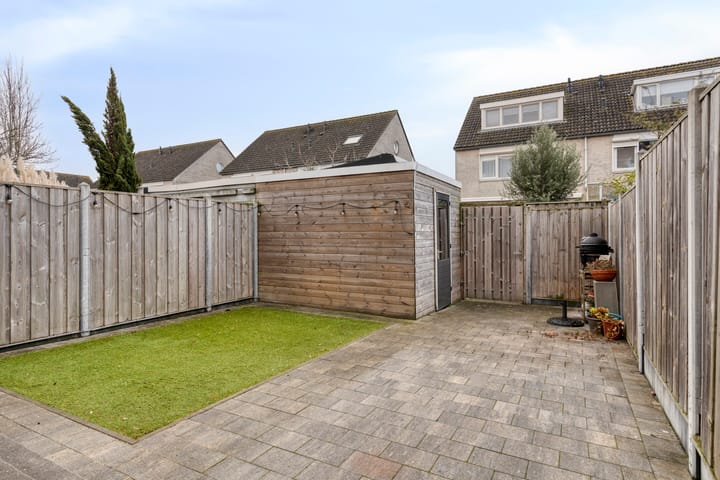 Foto 38 van Visarend 37