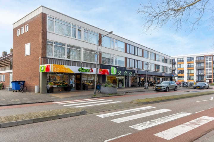 Foto 21 van Prof. Lorentzlaan 23