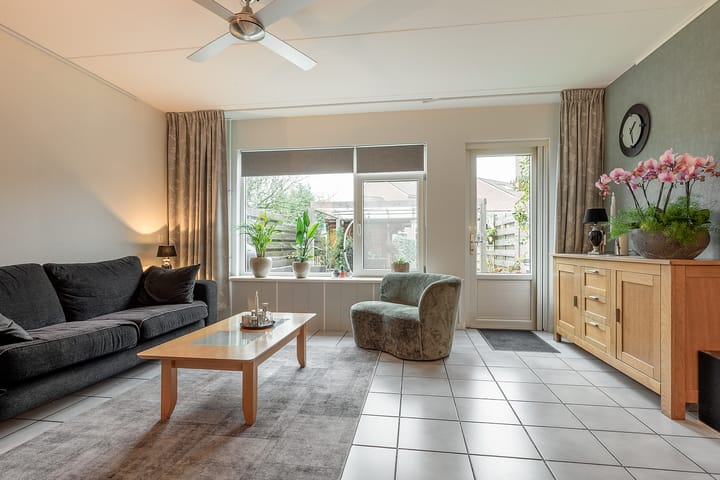 Photo 11 of De Streep 54