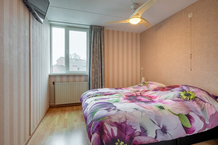 Photo 17 of De Streep 54