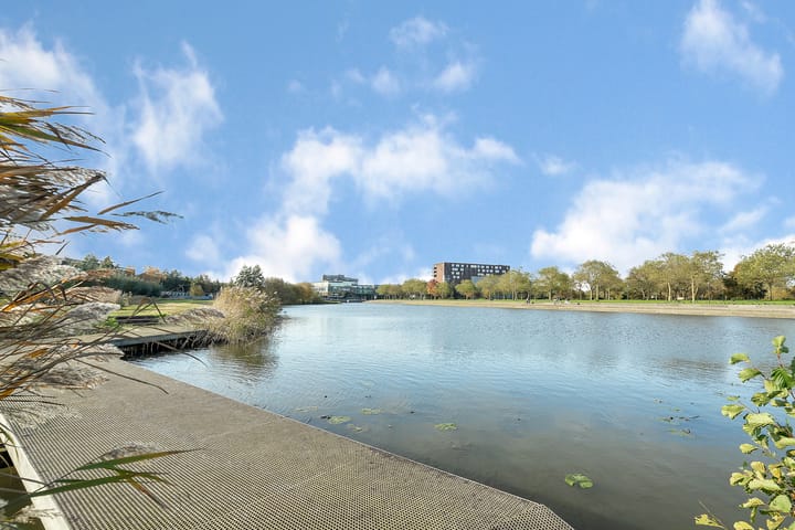 Foto 3 van Zwaardvegerstraat 302