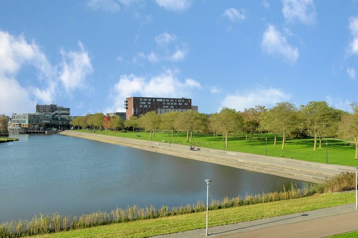 Photo 24 of Zwaardvegerstraat 302