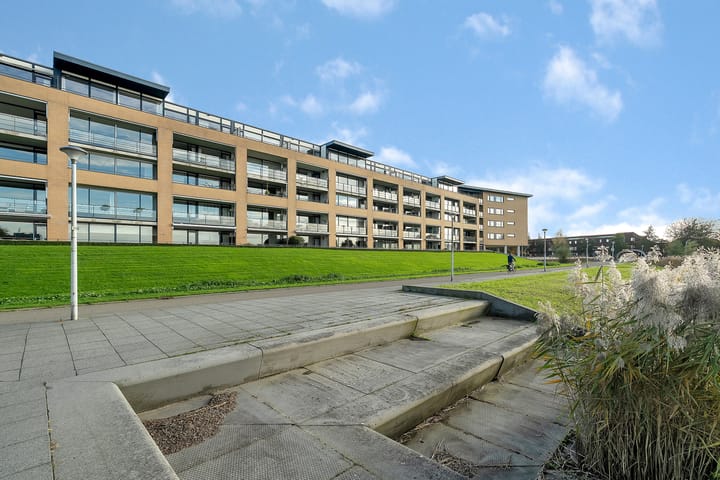 Photo 29 of Zwaardvegerstraat 302