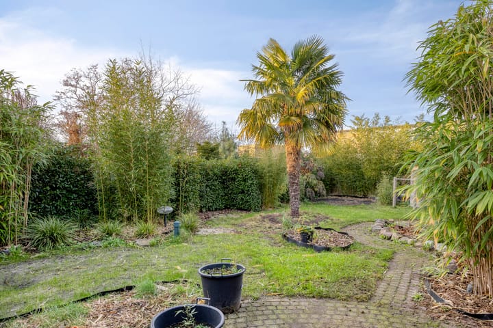 Foto 41 van Noordstraat 14