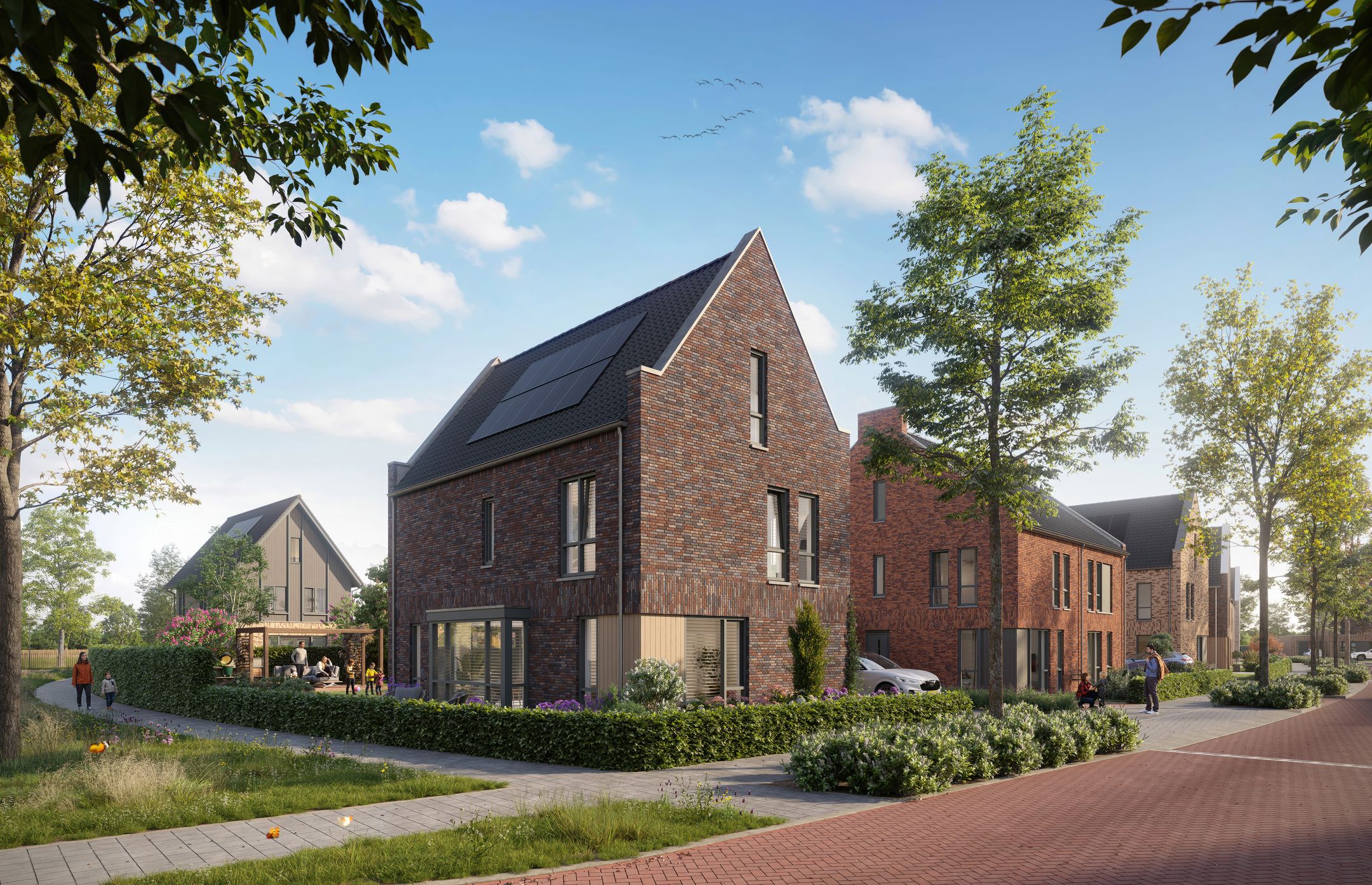 Foto 3 van Niemeskant | Fase 2