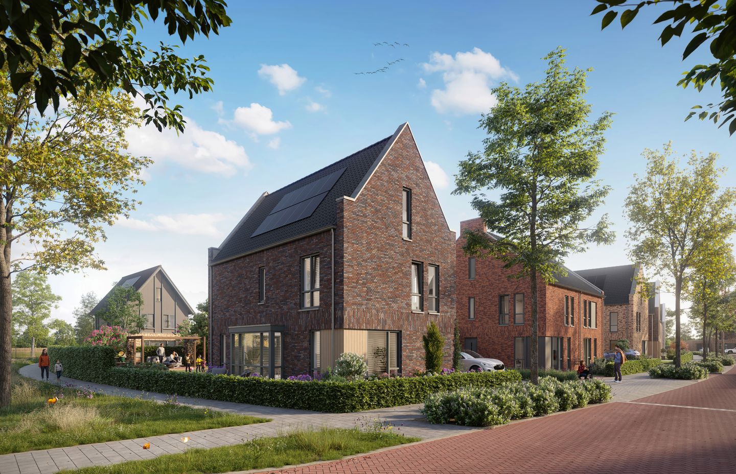 Foto 3 van Niemeskant | Fase 2