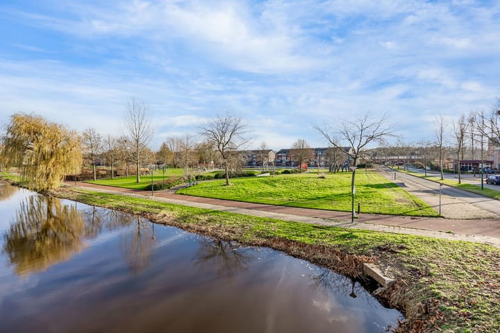 Foto 2 van Dorsvlegel 101