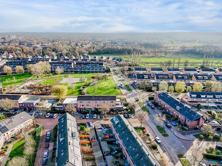 Foto 4 van Dorsvlegel 101