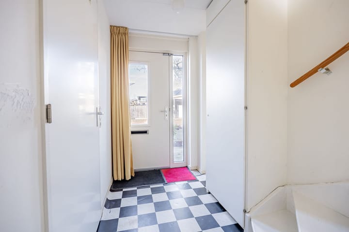 Foto 5 van Dorsvlegel 101