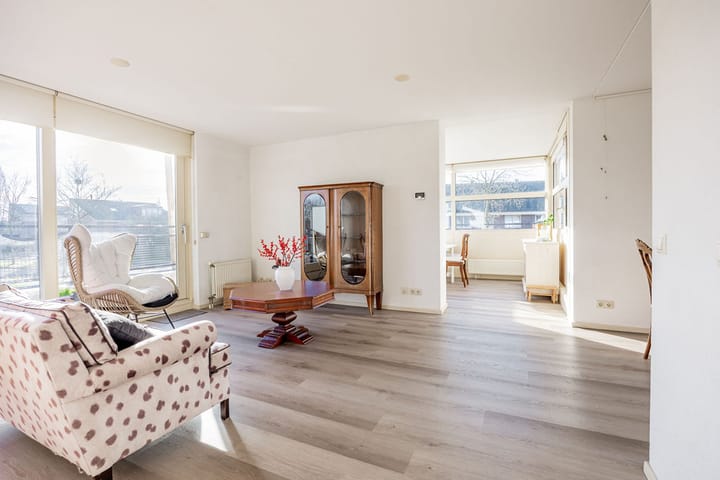 Foto 9 van Dorsvlegel 101