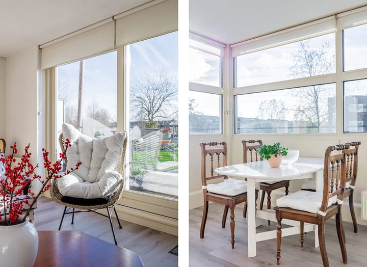 Foto 19 van Dorsvlegel 101