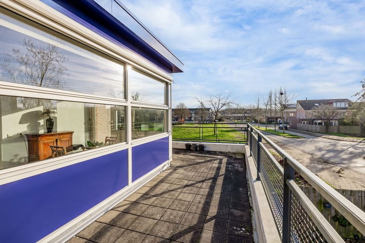 Foto 24 van Dorsvlegel 101