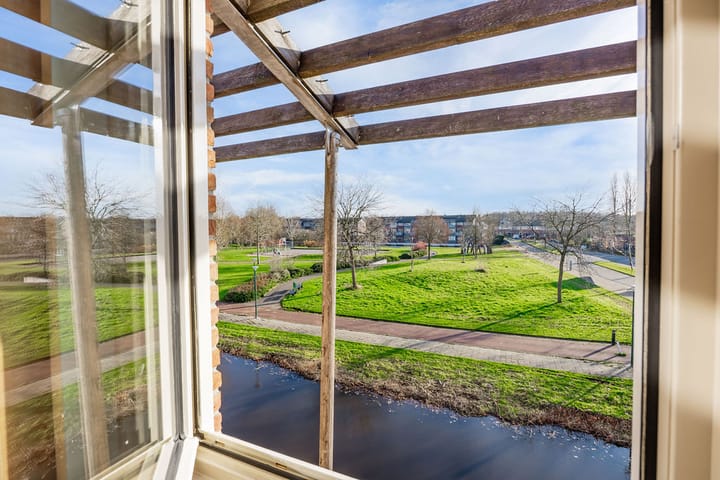 Foto 28 van Dorsvlegel 101