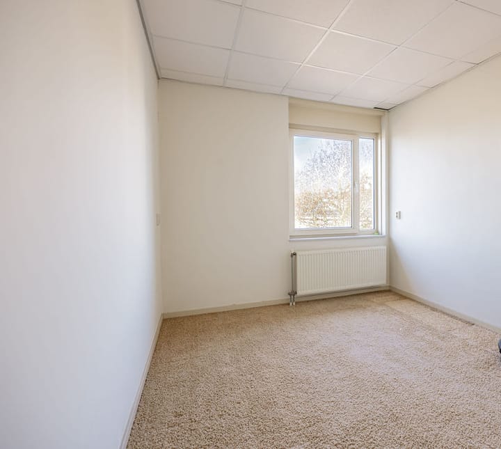 Foto 31 van Dorsvlegel 101