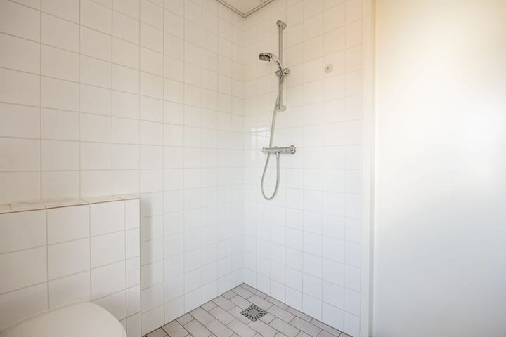 Foto 33 van Dorsvlegel 101