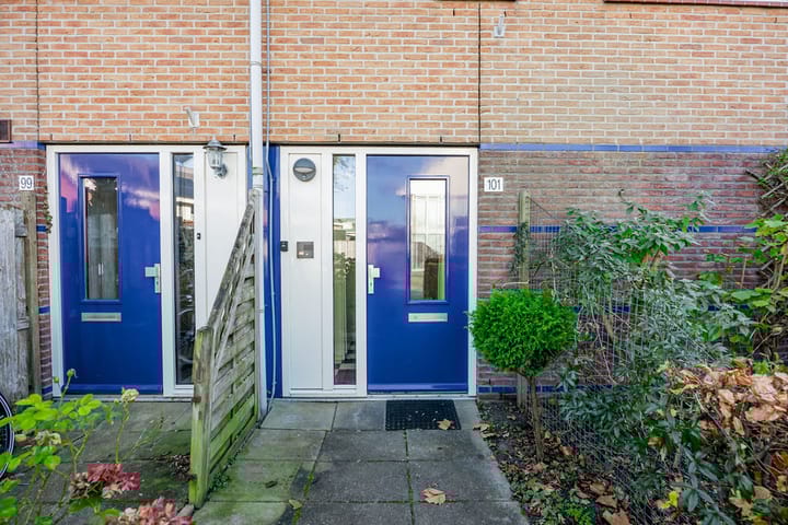 Foto 37 van Dorsvlegel 101