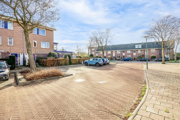 Foto 38 van Dorsvlegel 101