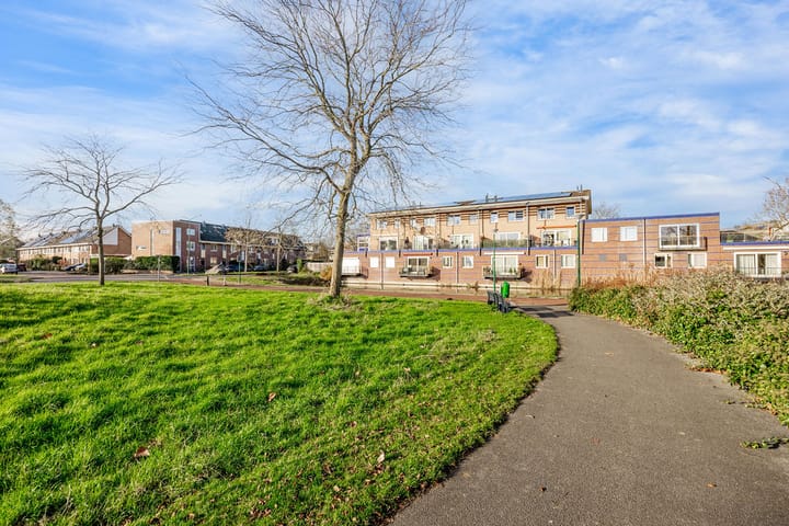 Foto 41 van Dorsvlegel 101